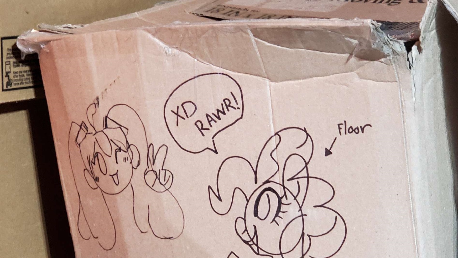 a beaten cardboard box, adorned with a sharpie sketch of both miku and pinkie pie with a text bubble that reads 
