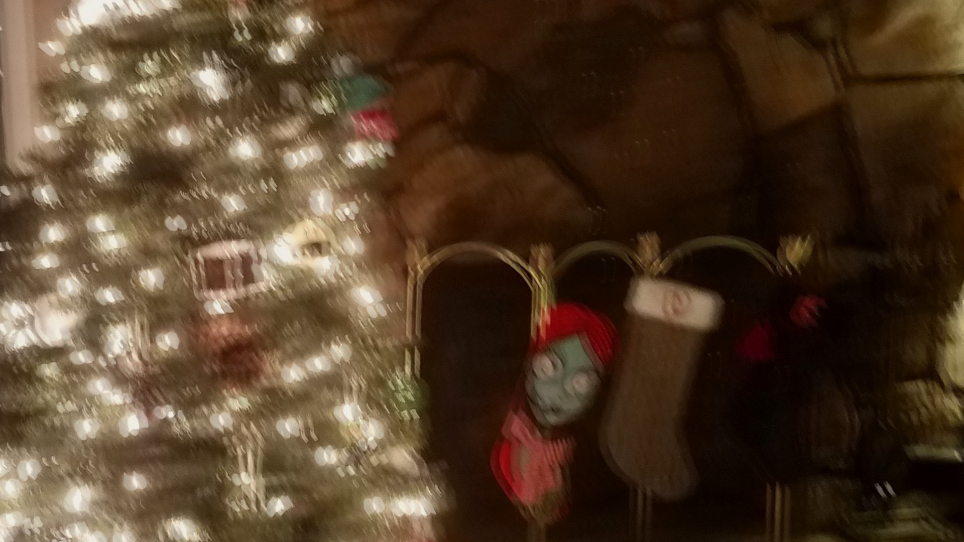 blurry image of a tree and some stockings